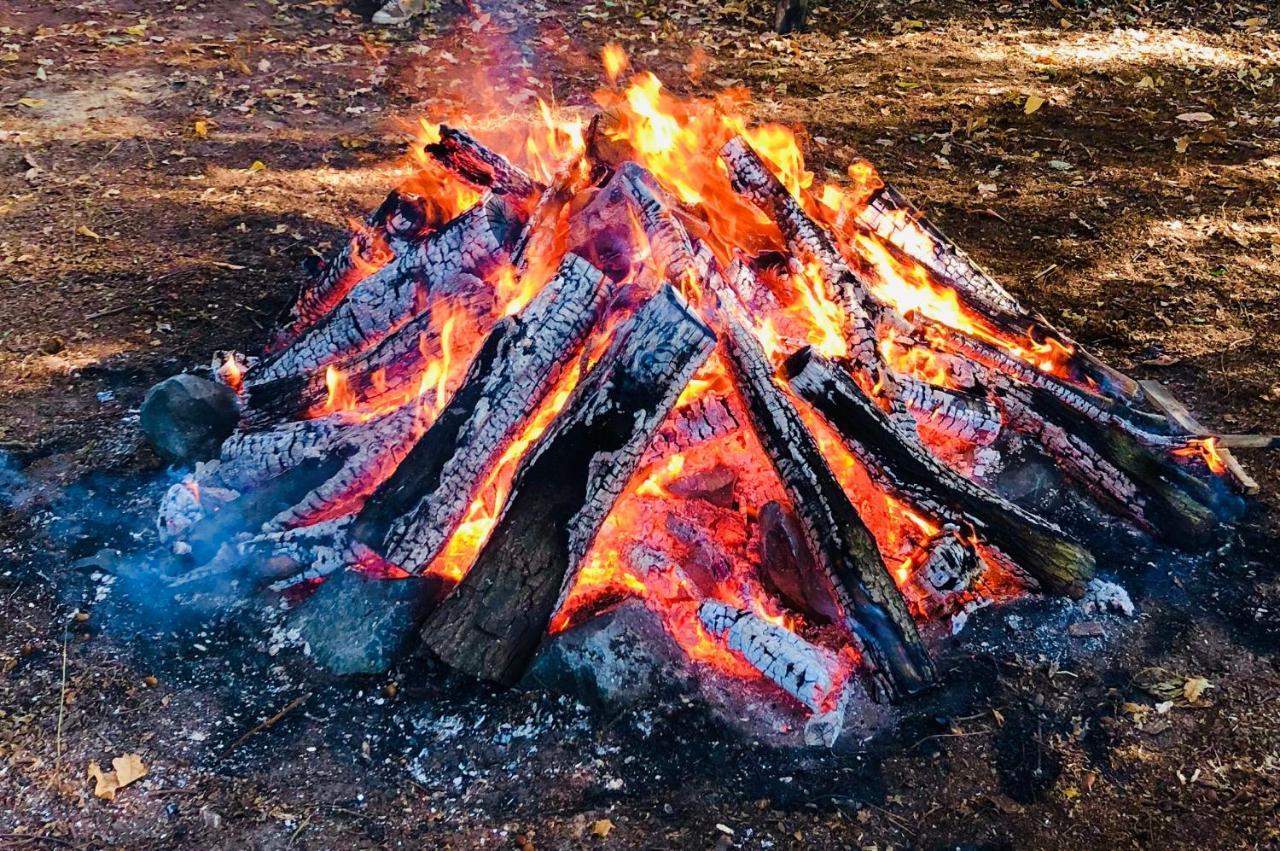 فيلا Het Hilkensberg Park بوكهاوْسِن المظهر الخارجي الصورة