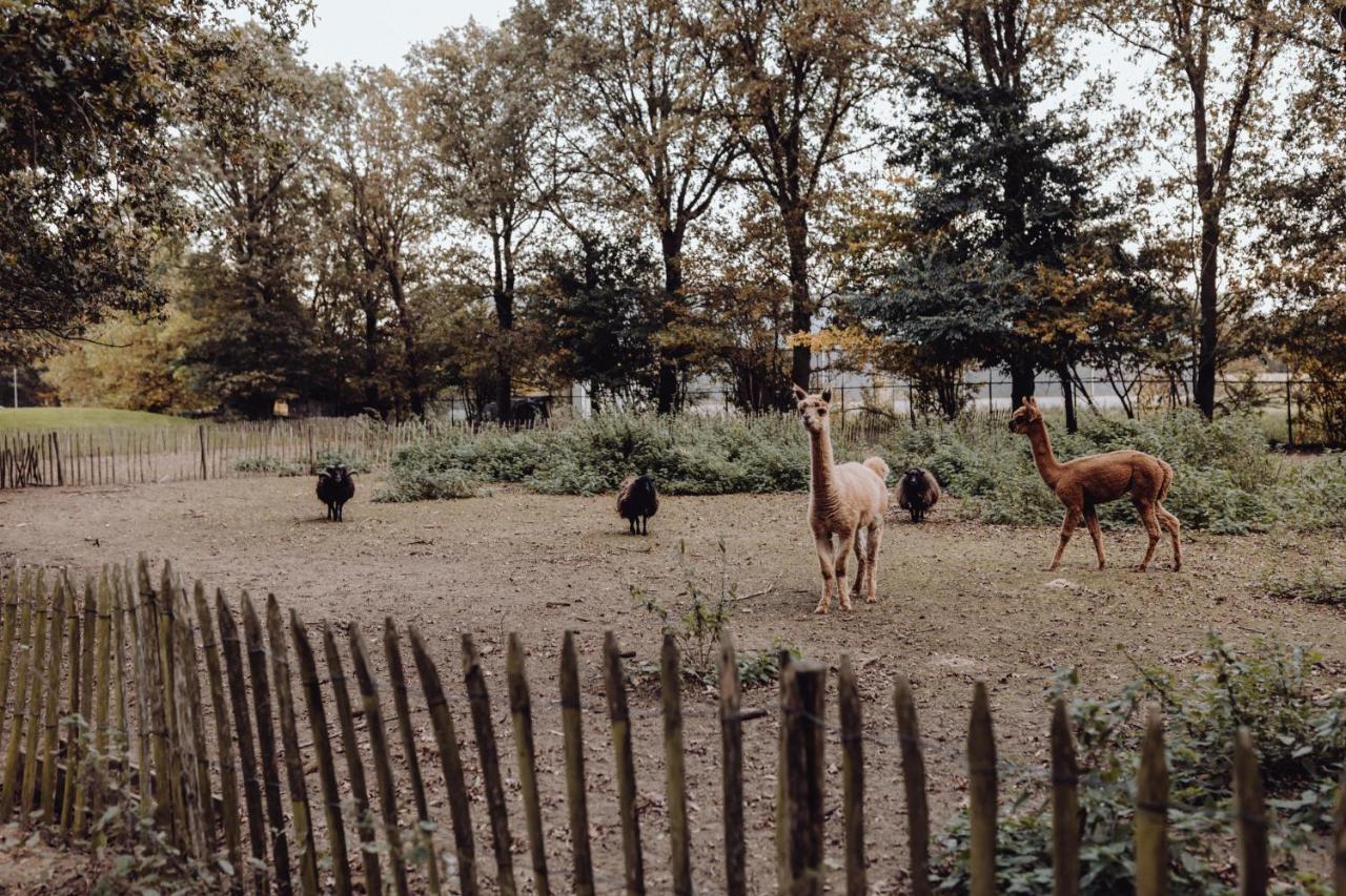 فيلا Het Hilkensberg Park بوكهاوْسِن المظهر الخارجي الصورة