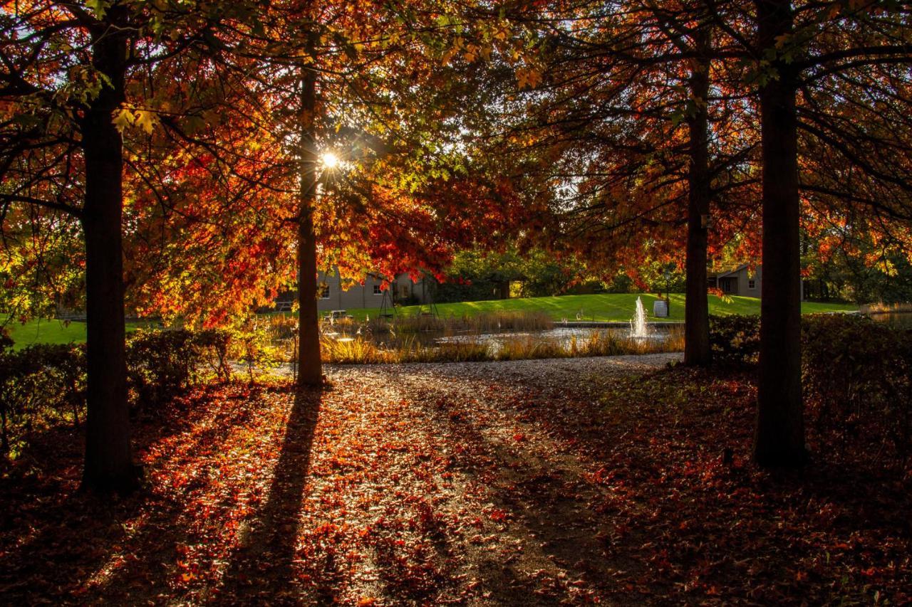 فيلا Het Hilkensberg Park بوكهاوْسِن المظهر الخارجي الصورة