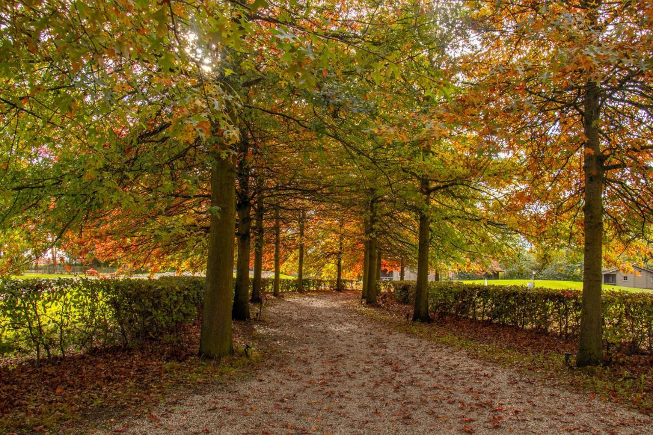 فيلا Het Hilkensberg Park بوكهاوْسِن المظهر الخارجي الصورة