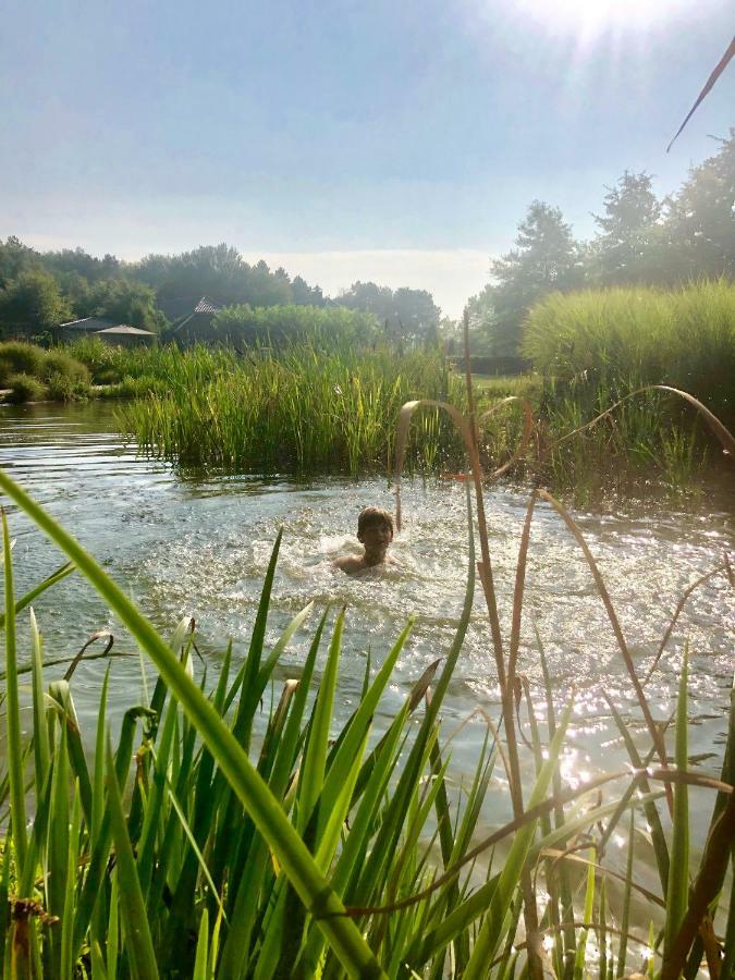 فيلا Het Hilkensberg Park بوكهاوْسِن المظهر الخارجي الصورة