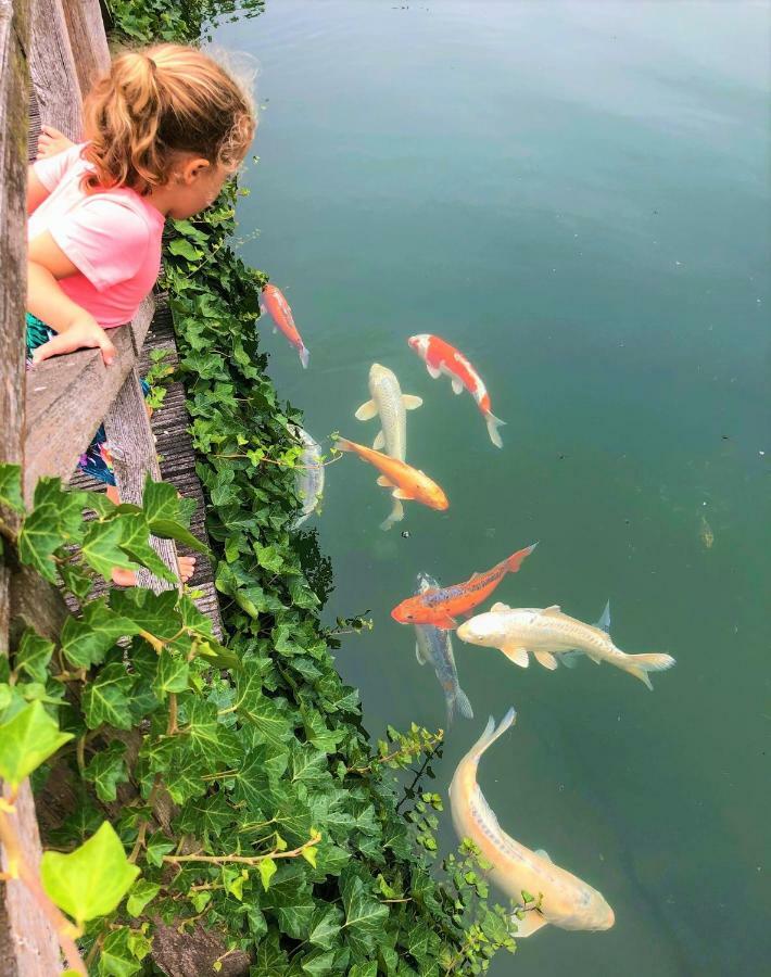 فيلا Het Hilkensberg Park بوكهاوْسِن المظهر الخارجي الصورة